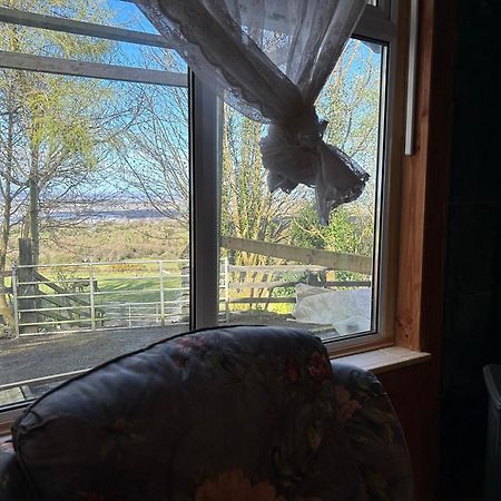 Cozy Room In A Barn With Farm View Dublin Exterior foto